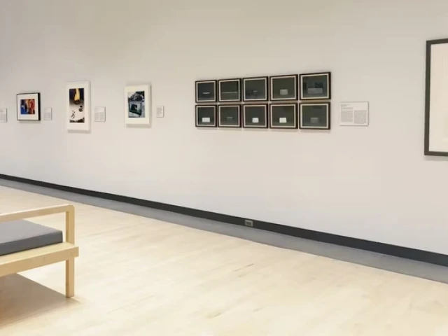 Exhibition gallery view of Funny Business: Photography and Humor at the Phoenix Art Museum. A wooden bench sits in the foreground, with a row of framed photographs displayed along a white wall, including colorful abstract pieces, a grid of smaller blue images, and a large black-and-white photograph of a dog standing on a narrow pedestal.